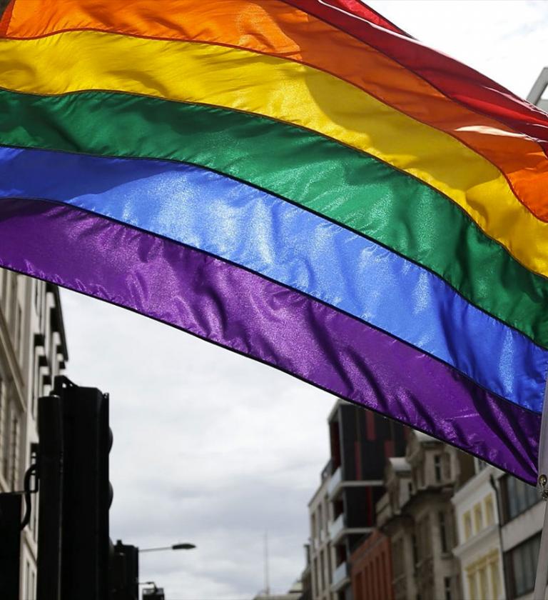 Rainbow flag hoisted above buildings